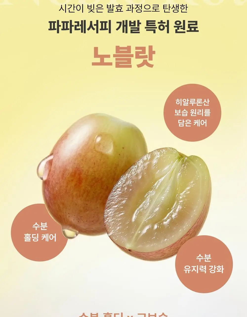 [NEW/하이델빌리지 PICK] 파파레서피 노블 랏 소프트 스무딩 립밤 5g 상세페이지 10
